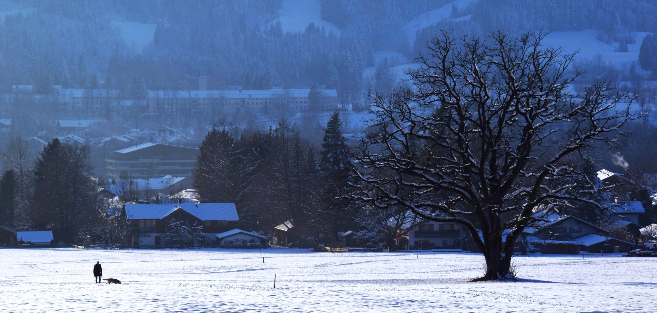 Winterspaziergang