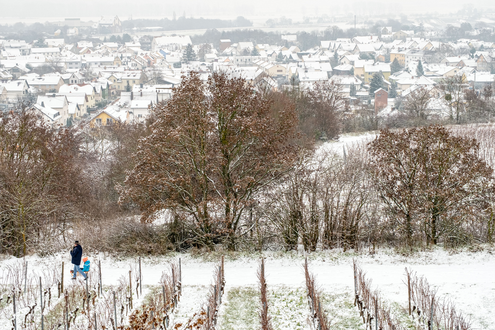 Winterspaziergang