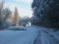 winterspaziergang