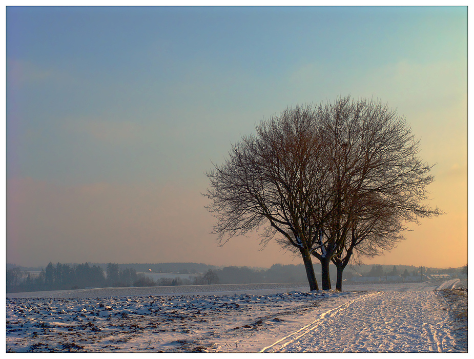 WinterSpazierGang