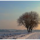 WinterSpazierGang