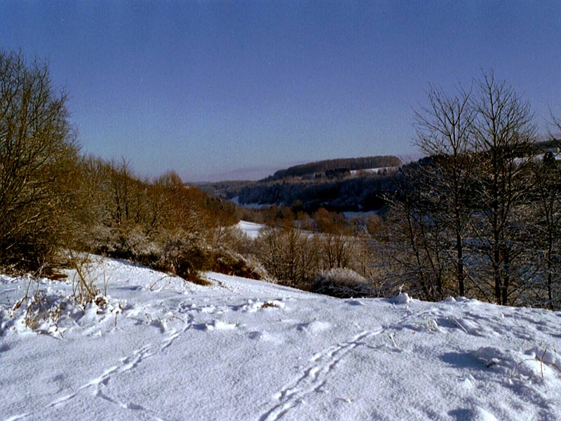 Winterspaziergang