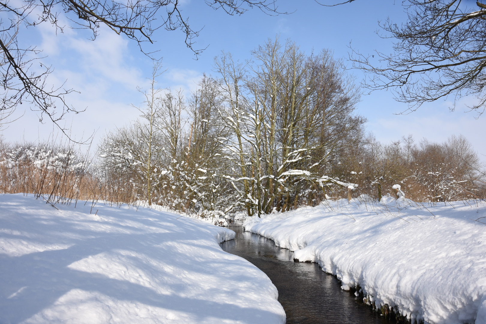 Winterspaziergang 