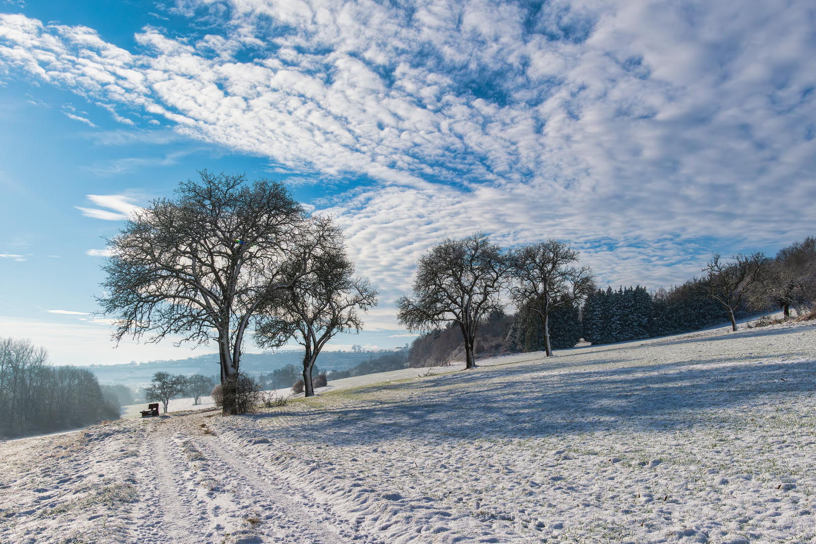 Winterspaziergang