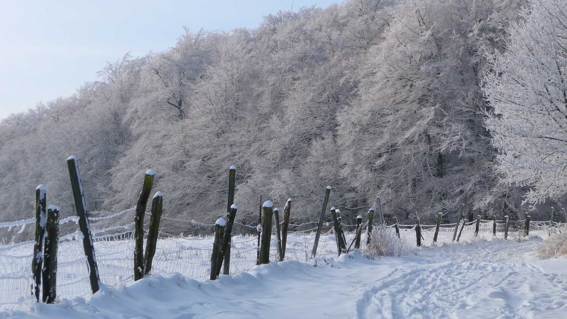 Winterspaziergang