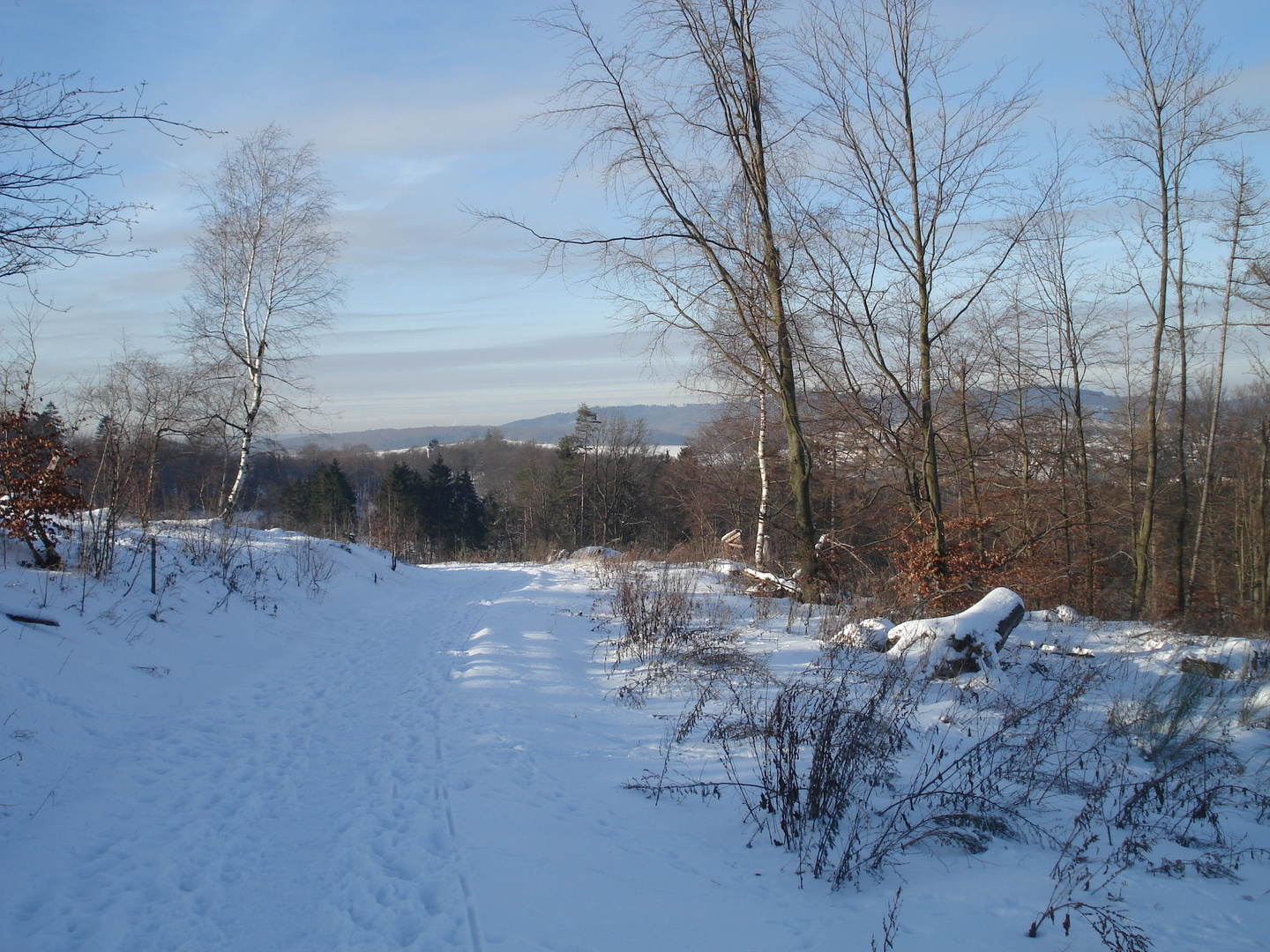 Winterspaziergang