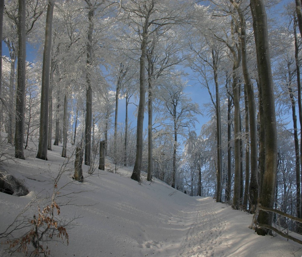 Winterspaziergang