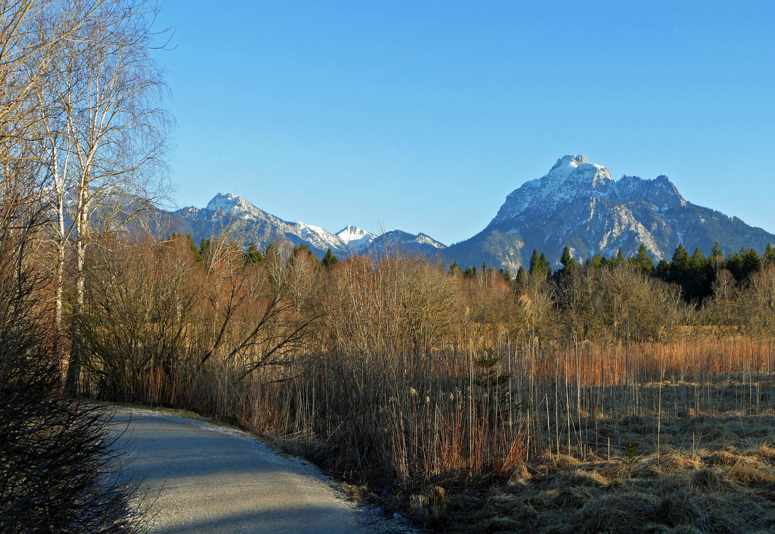 Winterspaziergang 