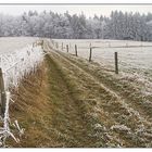 - Winterspaziergang -