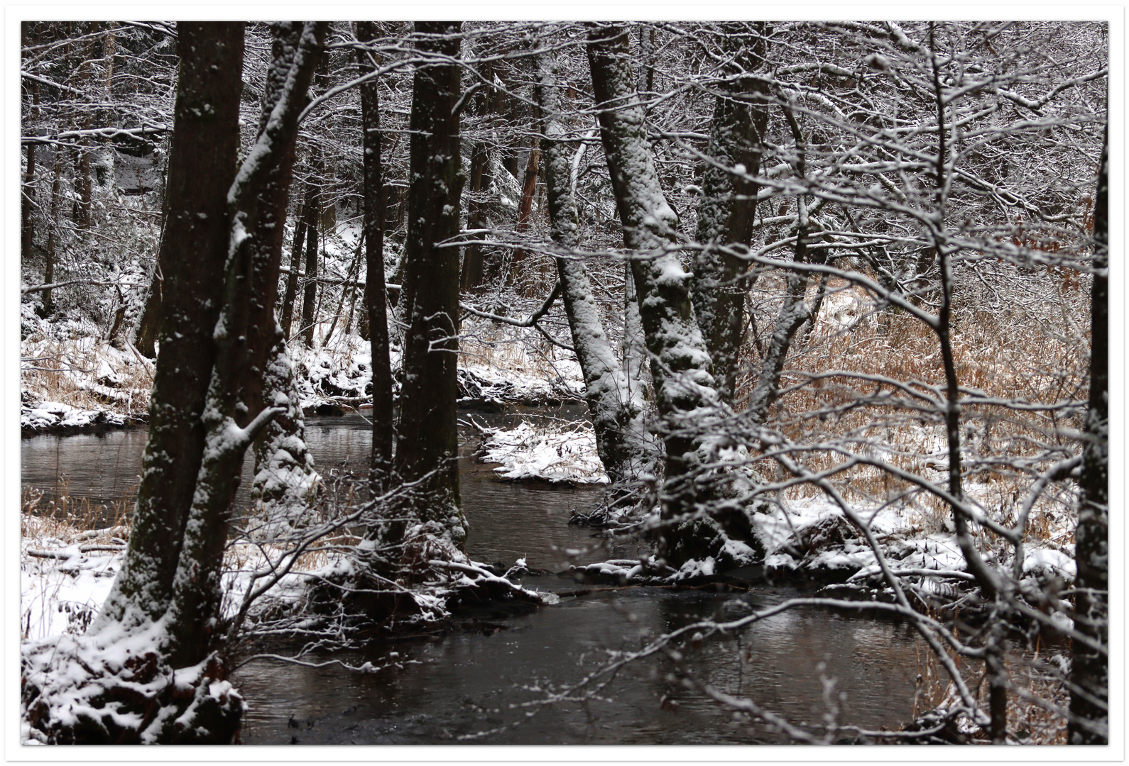 Winterspaziergang