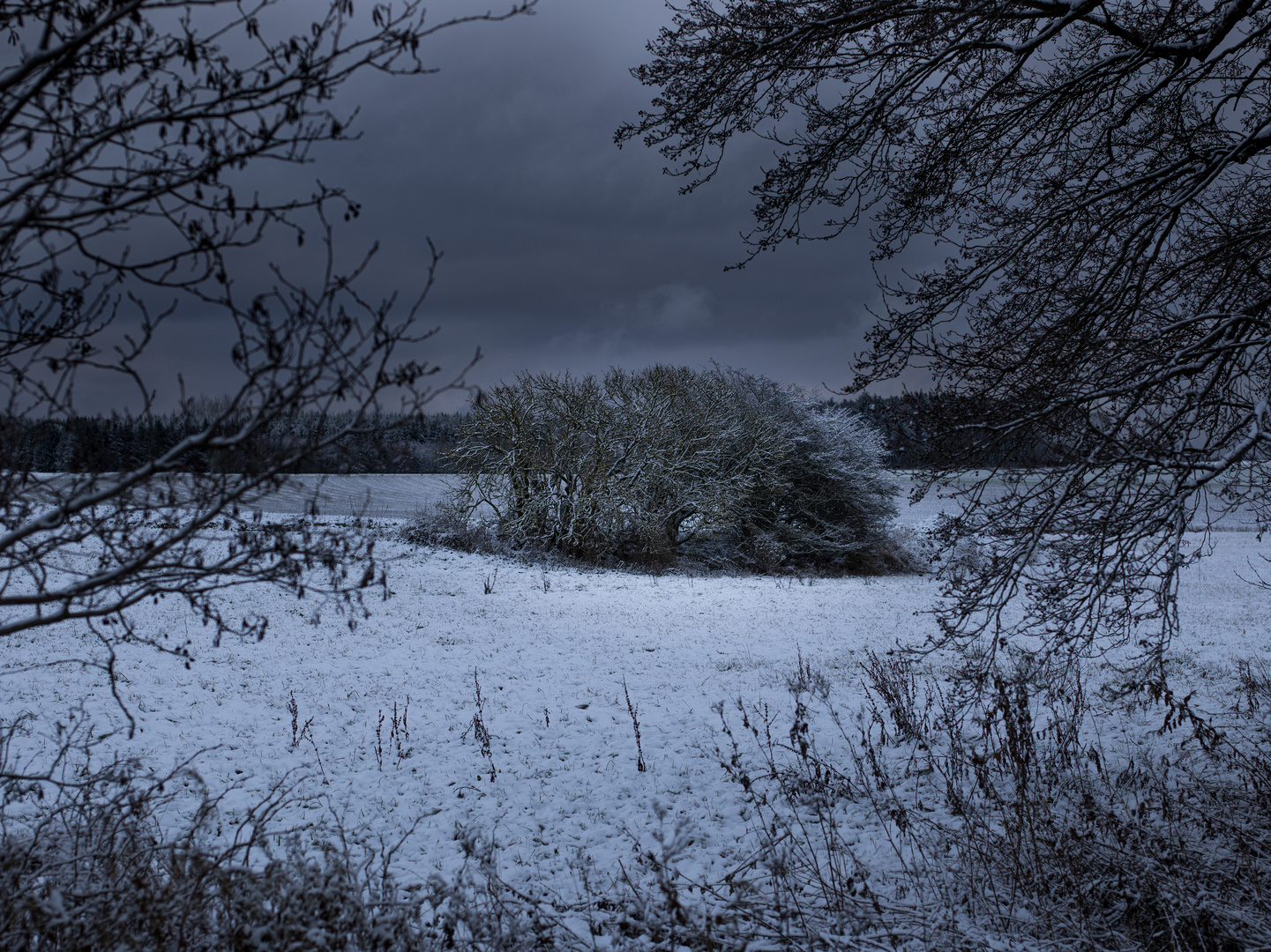 Winterspaziergang