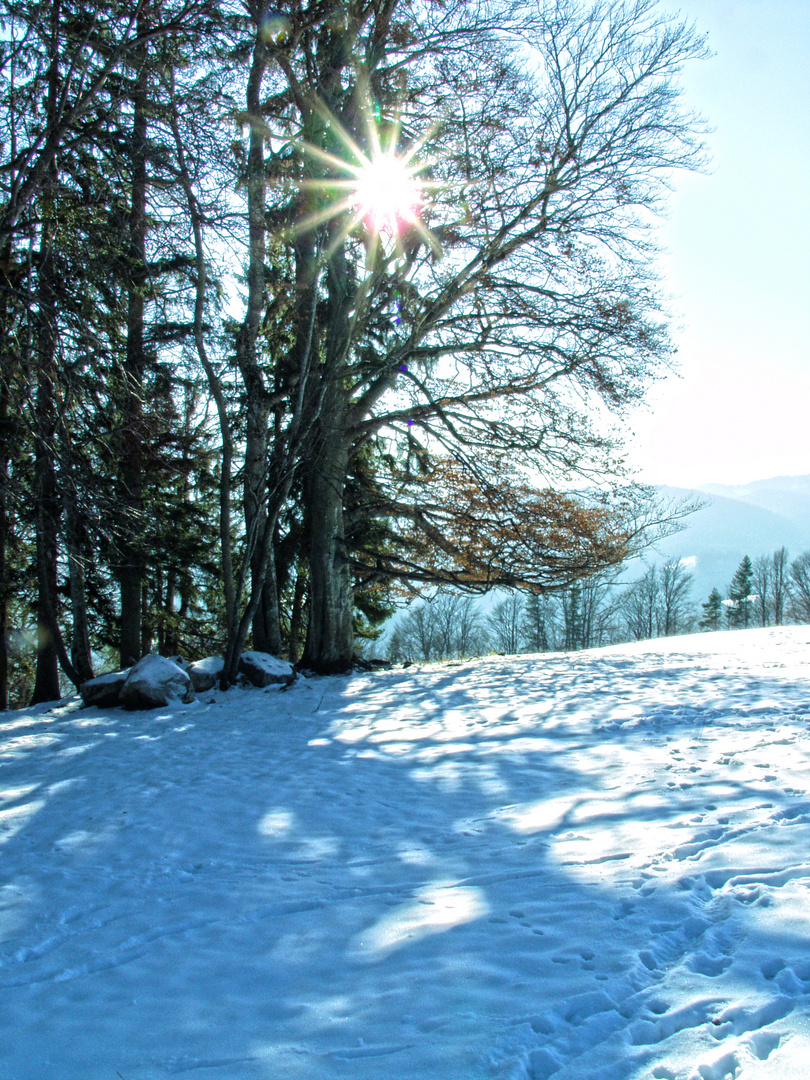 Winterspaziergang