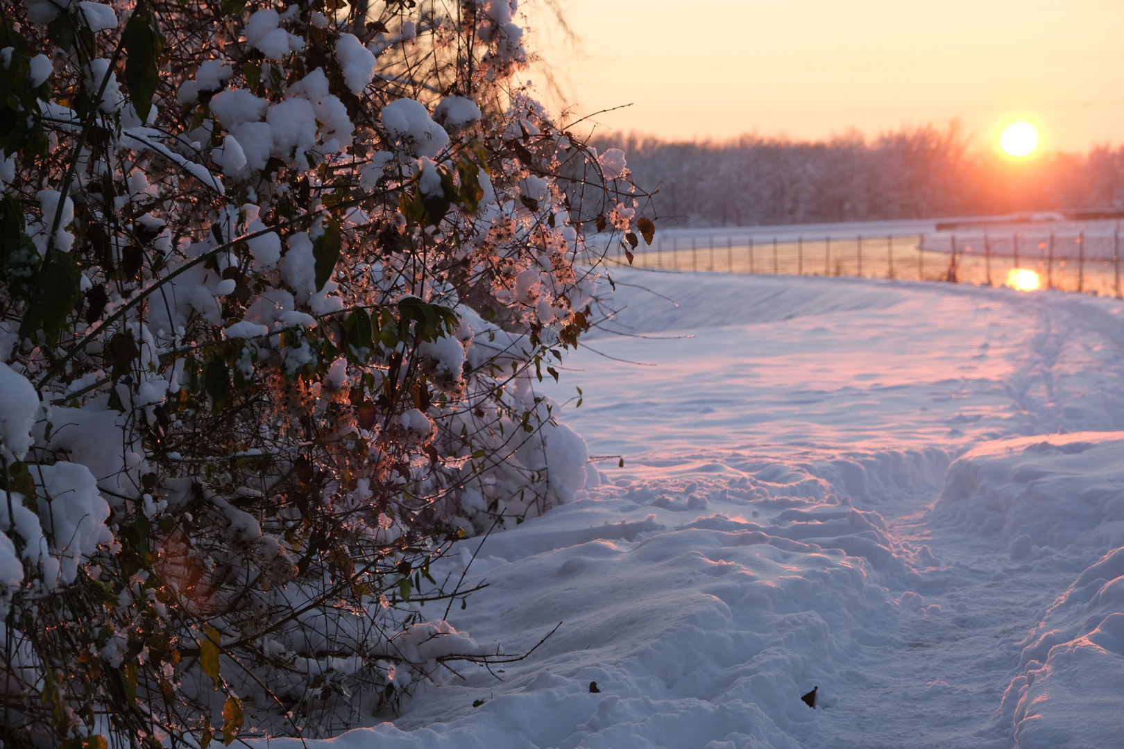 Winterspaziergang