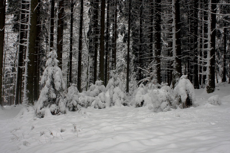 Winterspaziergang