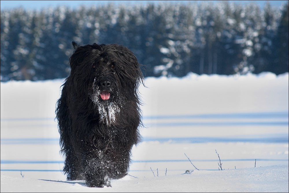 Winterspaziergang