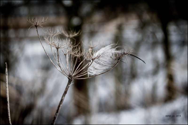 ...Winterspaziergang...