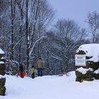 Winterspaziergang Der rote Schlitten