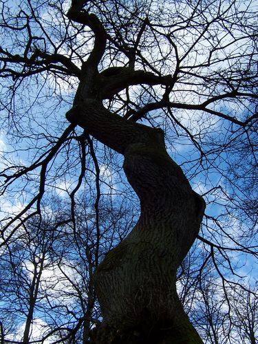 Winterspaziergang