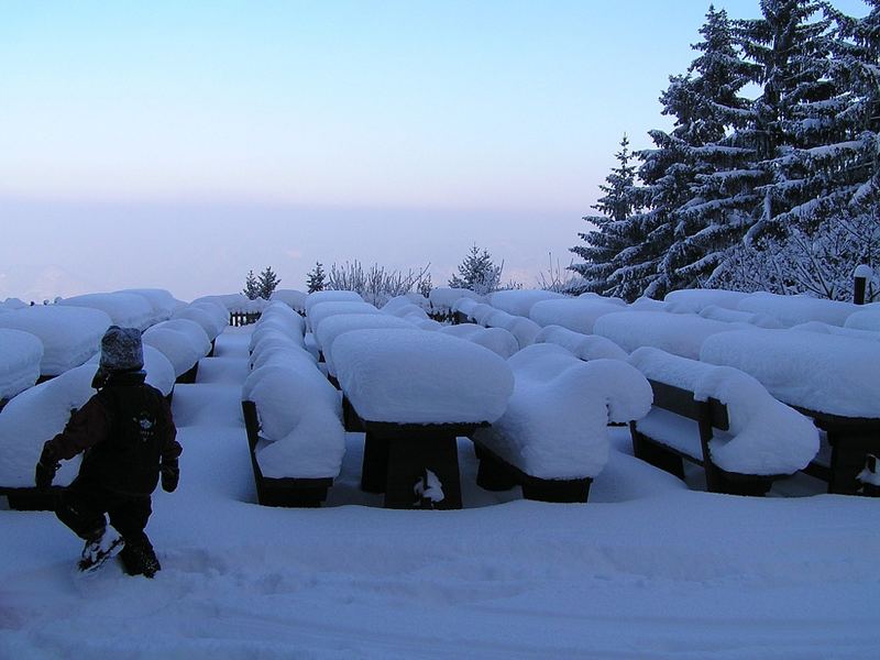 Winterspaziergang