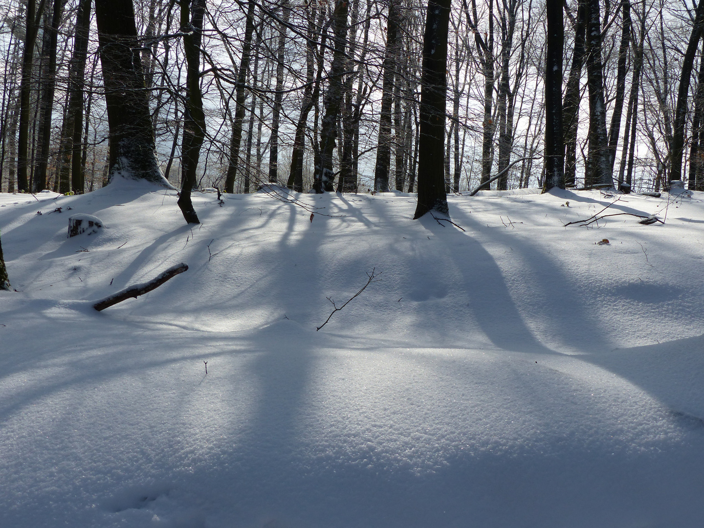 Winterspaziergang