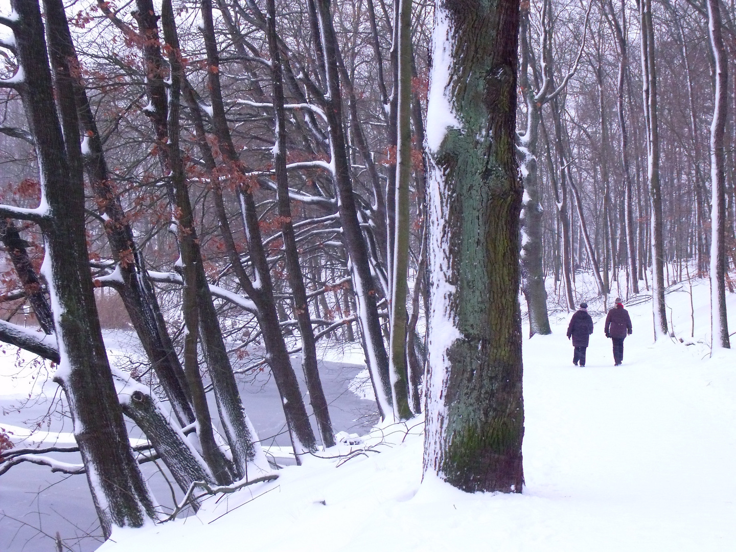 Winterspaziergang