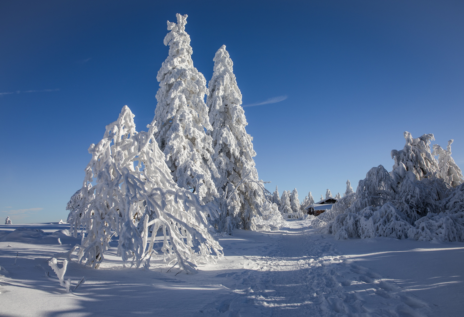 Winterspaziergang