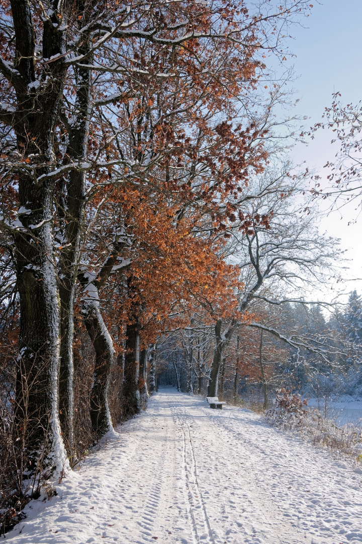 Winterspaziergang