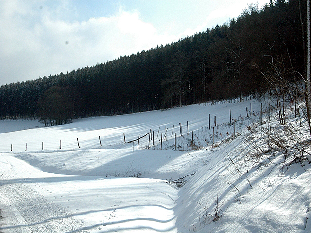 Winterspaziergang