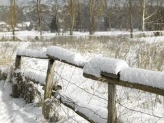 Winterspaziergang