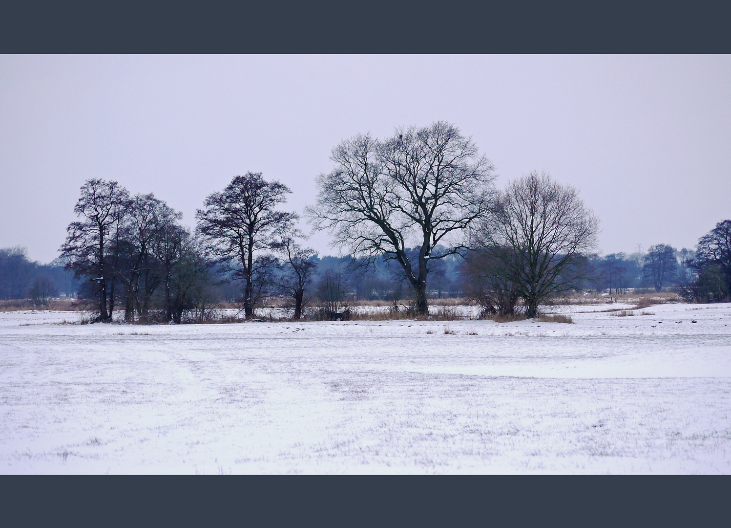 Winterspaziergang