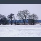 Winterspaziergang