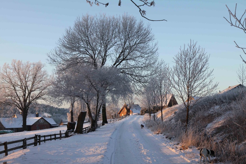 Winterspaziergang