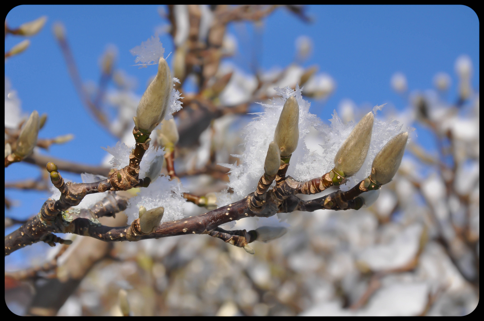 Winterspaziergang