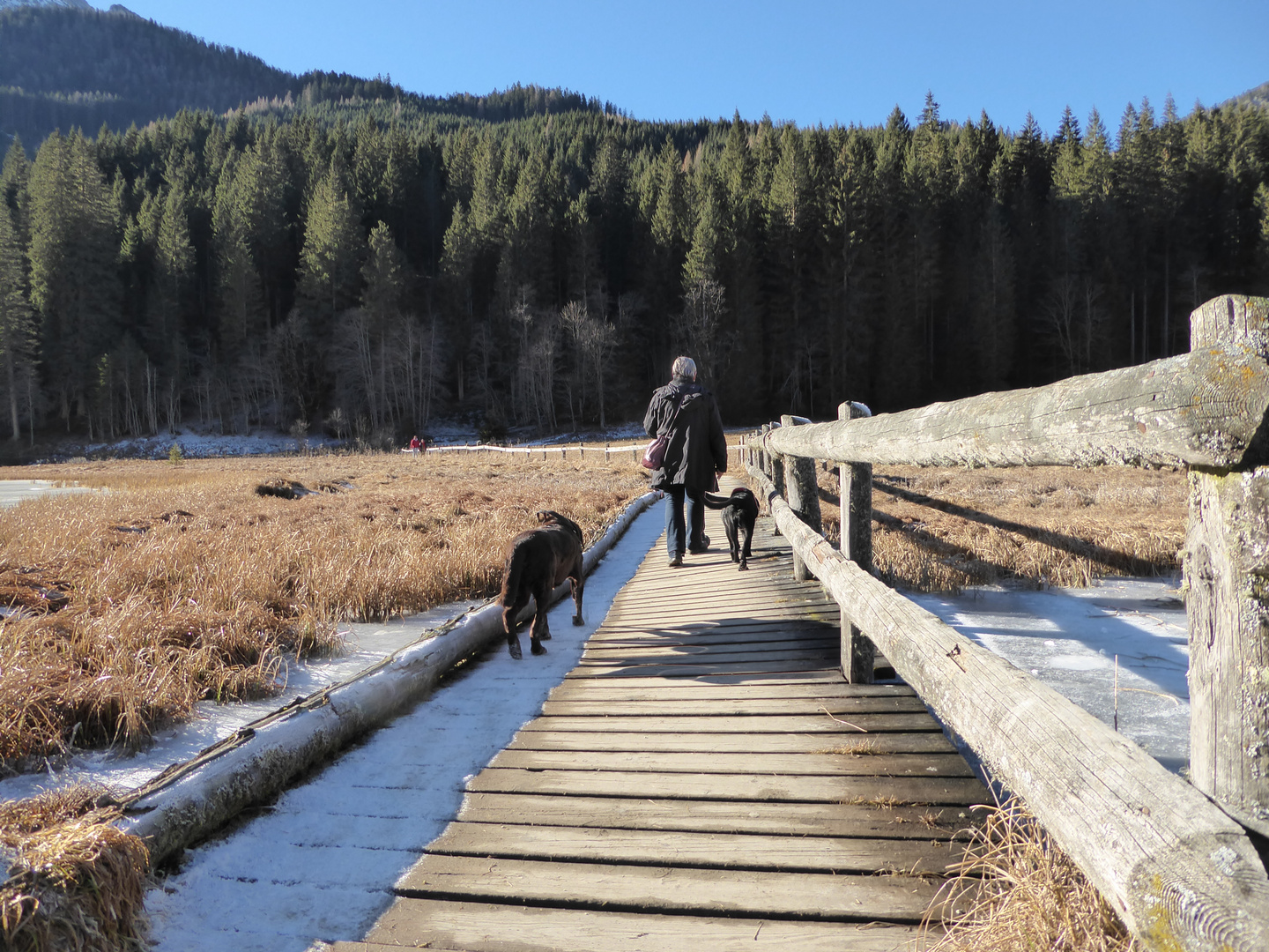 Winterspaziergang Foto & Bild | jahreszeiten, winter, familie Bilder ...