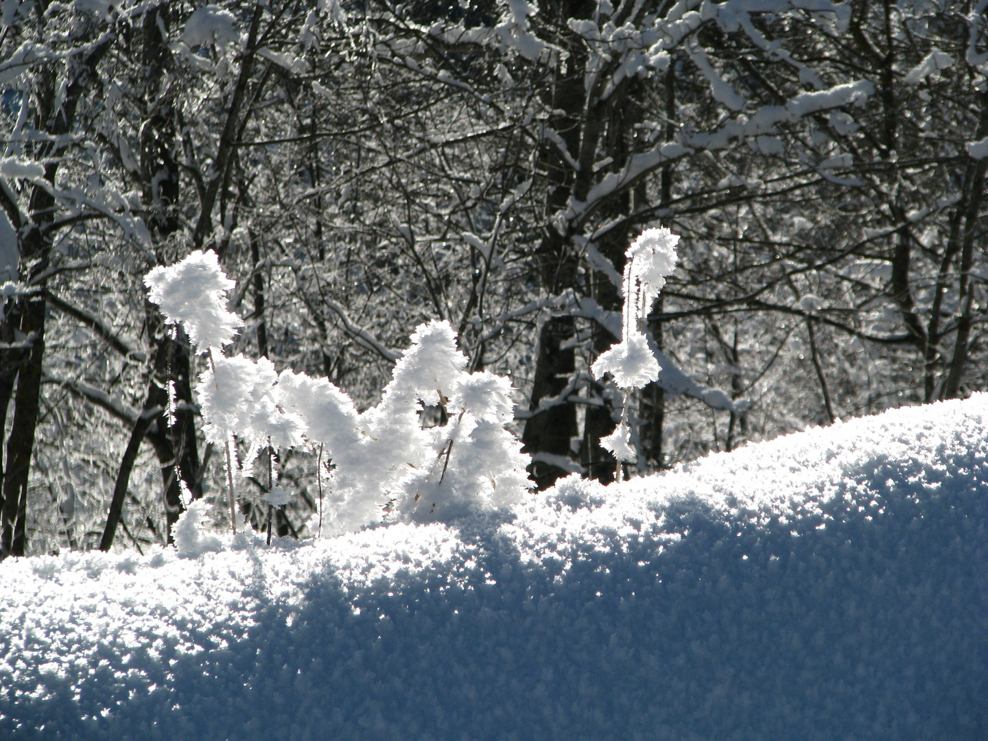 Winterspaziergang....