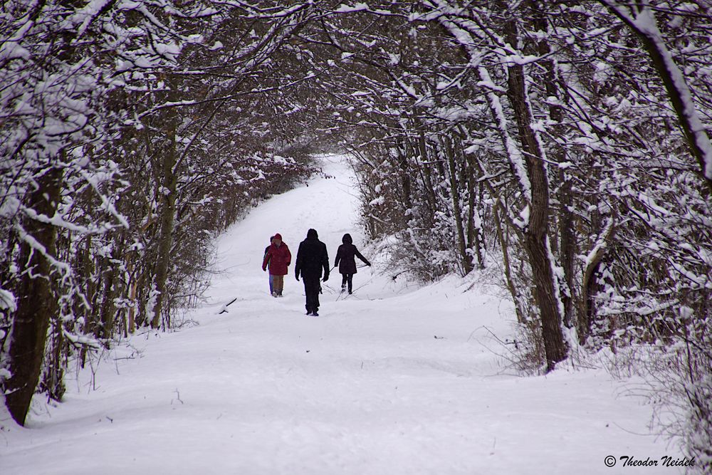 Winterspaziergang