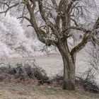 Winterspaziergang