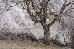 Winterspaziergang