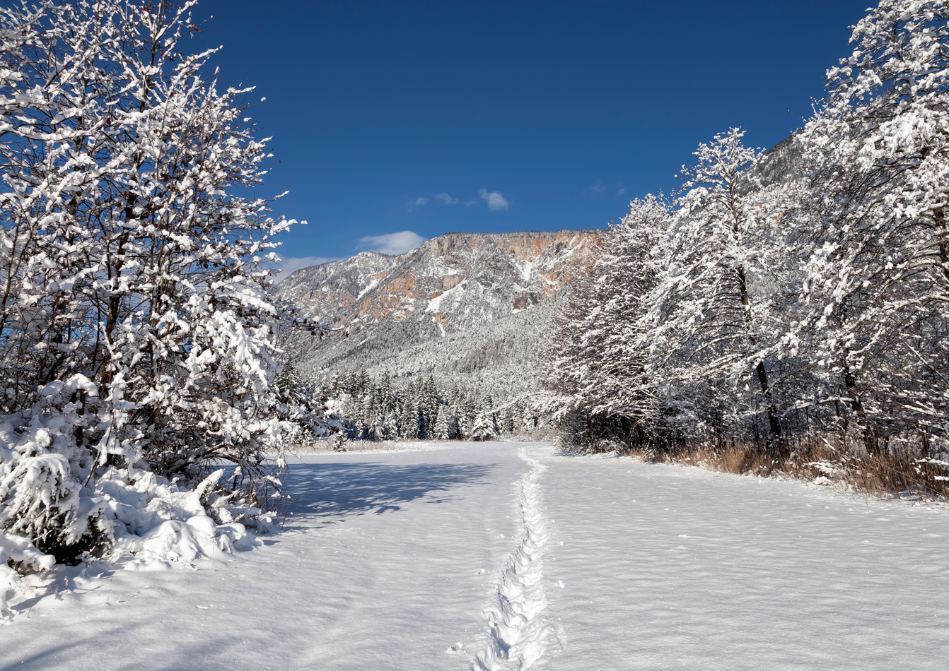 Winterspaziergang