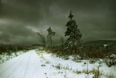 Winterspaziergang - ein Stück weiter gelaufen