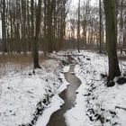 Winterspaziergang Elisenhain Greifswald