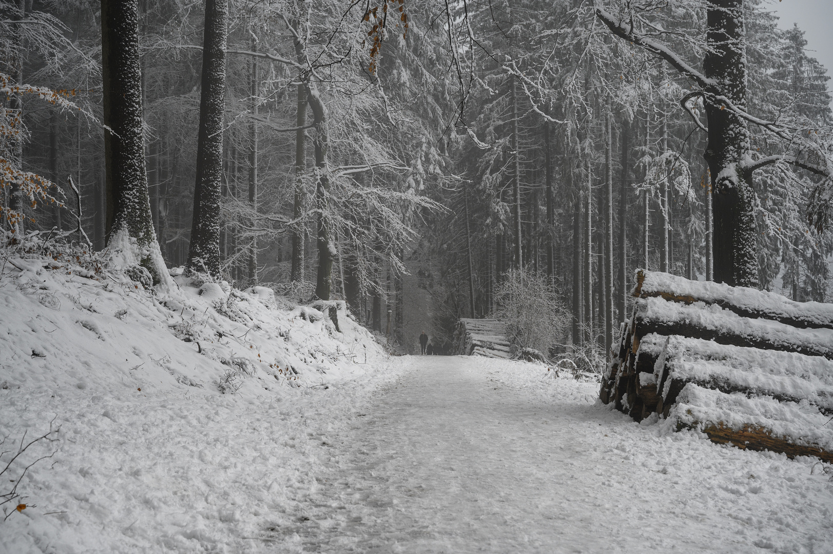 Winterspaziergang