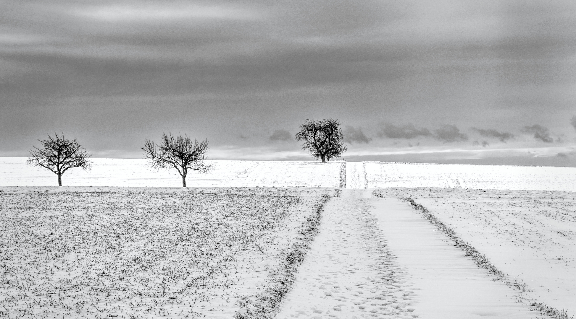 Winterspaziergang