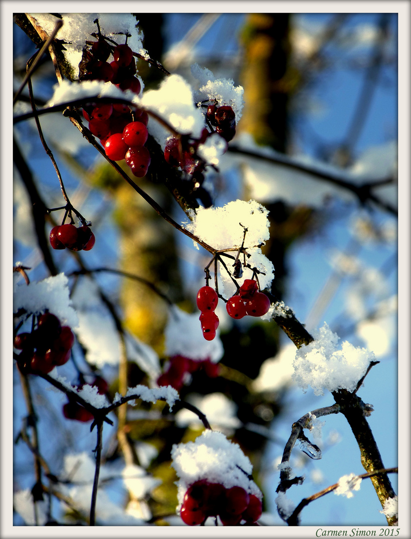 Winterspaziergang