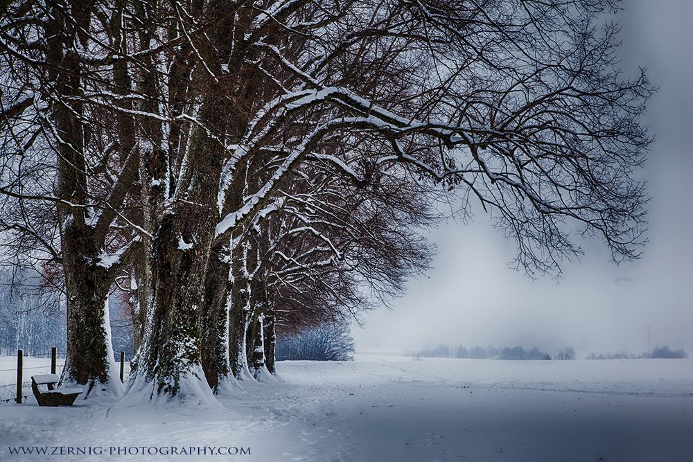 Winterspaziergang