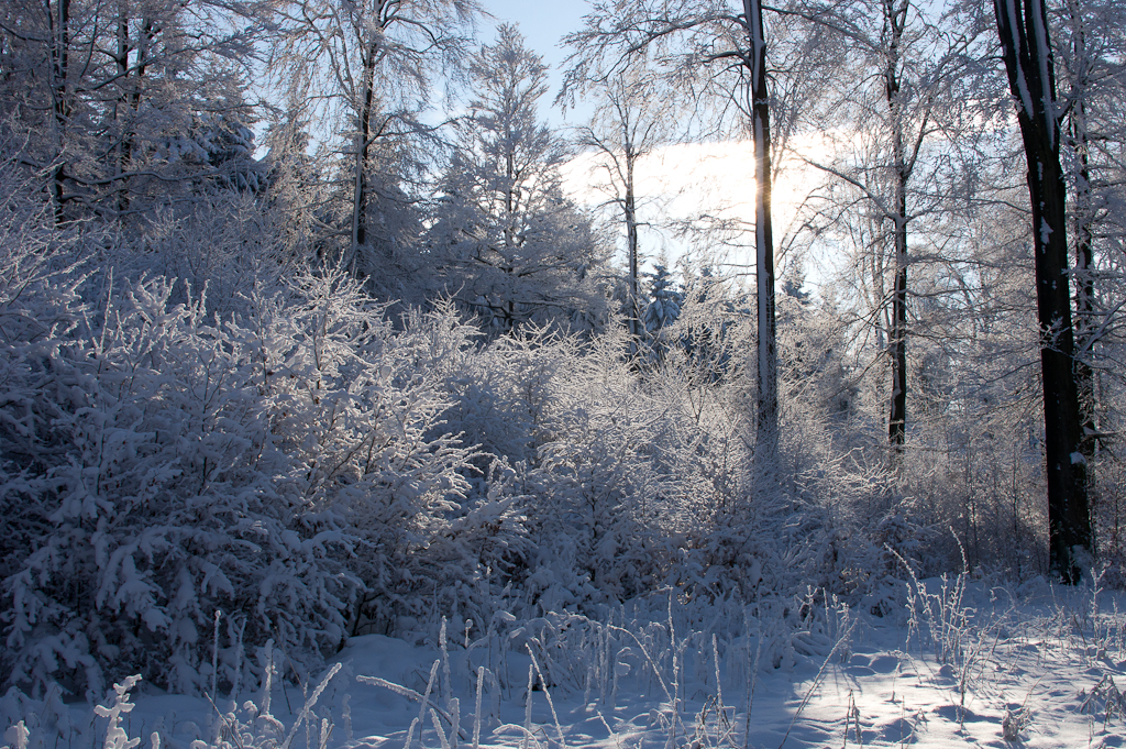 Winterspaziergang