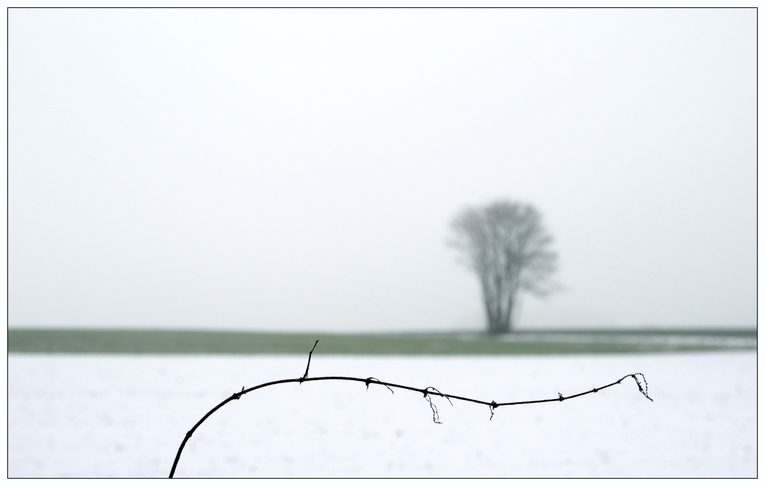 winterspaziergang