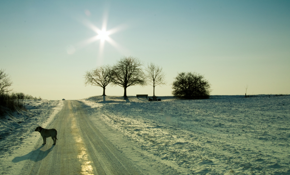 Winterspaziergang