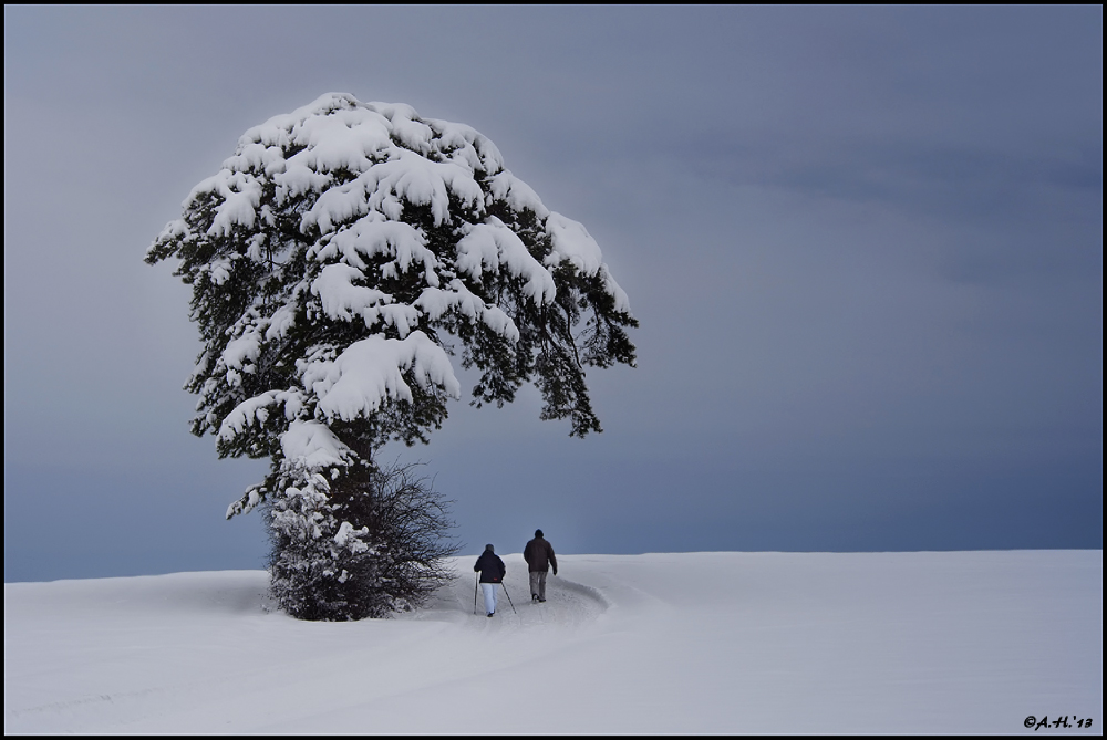 Winterspaziergang