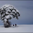 Winterspaziergang